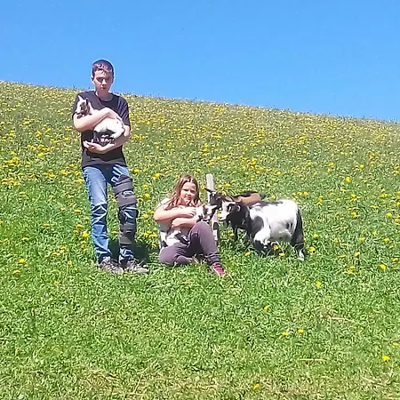 Hinterschwarzenberg 브릭스레크