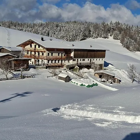 Hinterschwarzenberg مزرعة للإقامة *