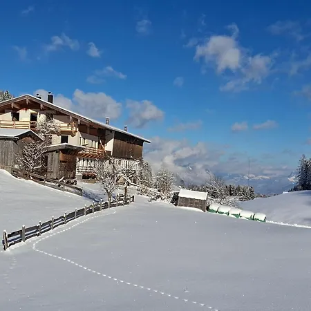 مزرعة للإقامة Hinterschwarzenberg بريكسليغ