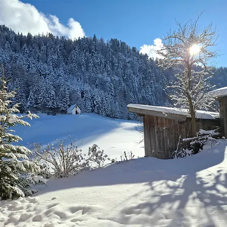 Hinterschwarzenberg مزرعة للإقامة