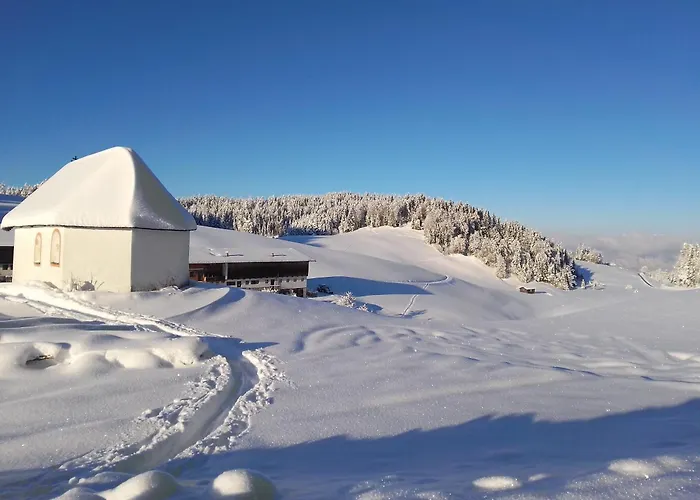 Hinterschwarzenberg 팜스테이