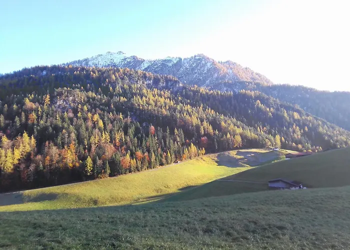 Hinterschwarzenberg 팜스테이