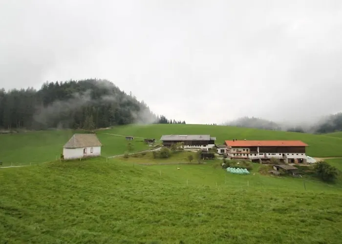 Hinterschwarzenberg 팜스테이