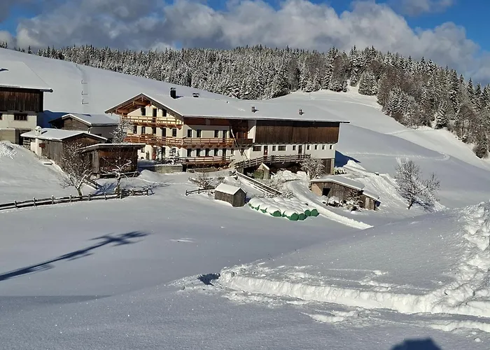 Hinterschwarzenberg 팜스테이 *