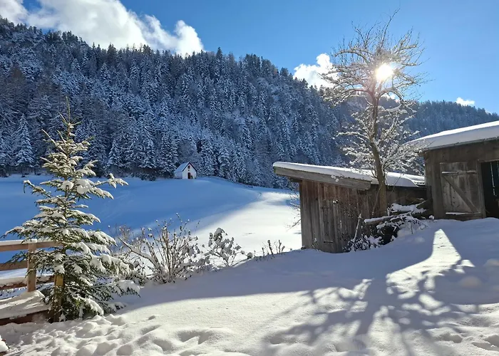 Hinterschwarzenberg 팜스테이