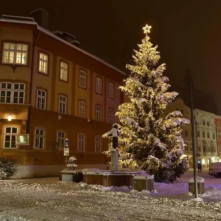 Hinterschwarzenberg Farm stay