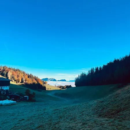 Hinterschwarzenberg Farm stay