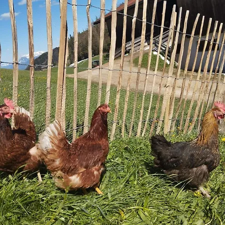 Hinterschwarzenberg Brixlegg