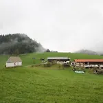 Hinterschwarzenberg ファームステイ