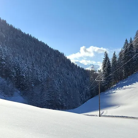 Hinterschwarzenberg مزرعة للإقامة *