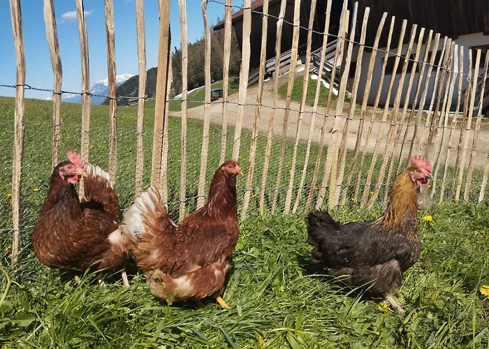 Hinterschwarzenberg بريكسليغ